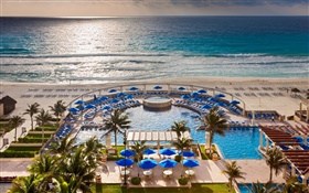 Tropical resort, océan, plage, palmiers, piscine de natation HD Fonds d'écran
