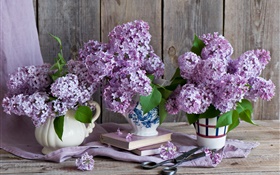 Vase, lilas, fleurs pourpres, des livres, des ciseaux