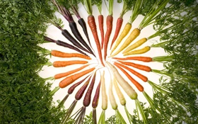 Légumes, carotte, différentes couleurs, cercle HD Fonds d'écran