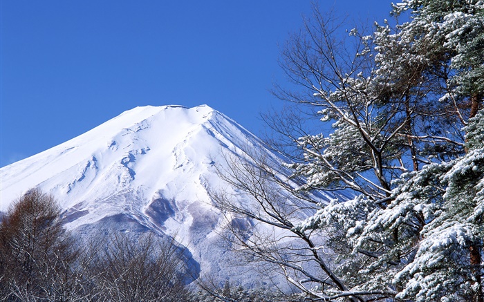 monde blanc, hiver, neige, Mont Fuji, Japon Fonds d'écran, image