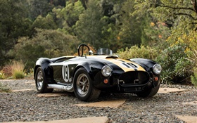 1965 Ford Shelby Cobra 427 voiture rétro