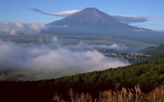 Mont Fuji, Japon, ville, forêt, herbe, brouillard, nuages Fonds d'écran, image