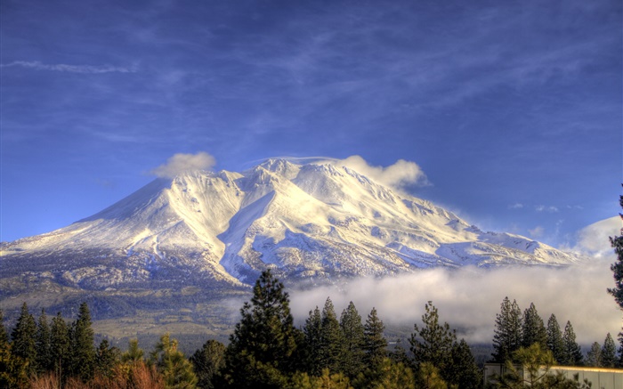 Montagne, neige, arbres, nuages, Shasta, Californie, États-Unis Fonds d'écran, image