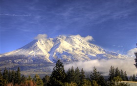 Montagne, neige, arbres, nuages, Shasta, Californie, États-Unis HD Fonds d'écran