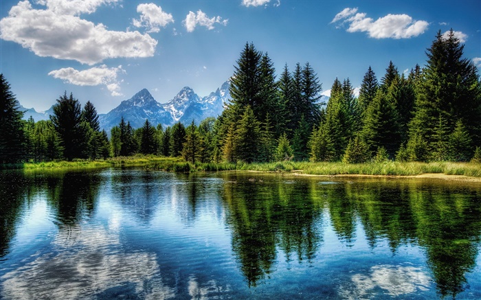 Les arbres, lac, ciel bleu, nuages, réflexion de l'eau Fonds d'écran, image
