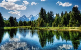 Les arbres, lac, ciel bleu, nuages, réflexion de l'eau HD Fonds d'écran
