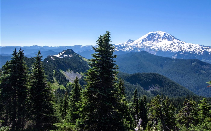 États-Unis, Alaska, forêt, montagnes, ciel bleu Fonds d'écran, image
