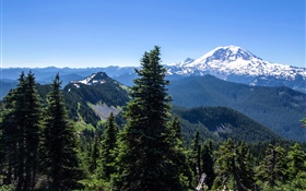 États-Unis, Alaska, forêt, montagnes, ciel bleu HD Fonds d'écran