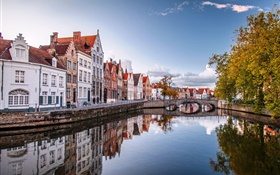 Brugge, Belgique, ville, maisons, pont, rivière, arbres HD Fonds d'écran