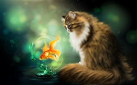 Chat et poisson rouge, dessin d'art HD Fonds d'écran