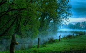 Matin nature paysage, pré, herbe, rivière, brouillard HD Fonds d'écran