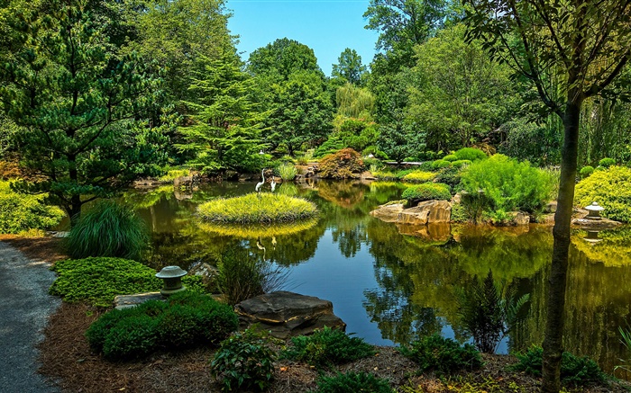Gibbs Gardens, États-Unis, un étang, des arbres, de l'herbe Fonds d'écran, image