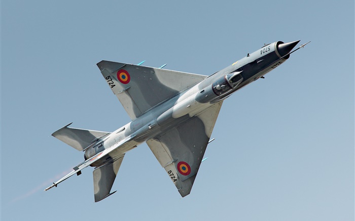MiG-21 fighter Fonds d'écran, image