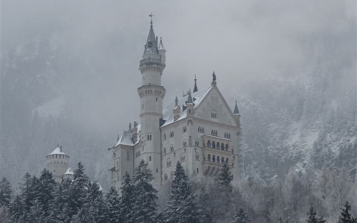 Neuschwanstein, le château, les montagnes, les arbres, la neige Fonds d'écran, image