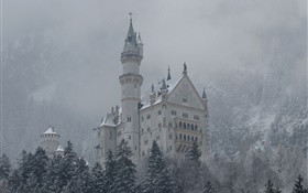 Neuschwanstein, le château, les montagnes, les arbres, la neige