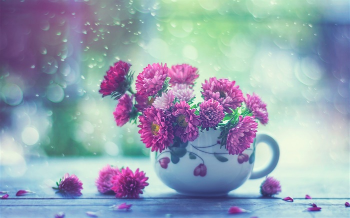 Fleurs roses, tasse, pluie Fonds d'écran, image