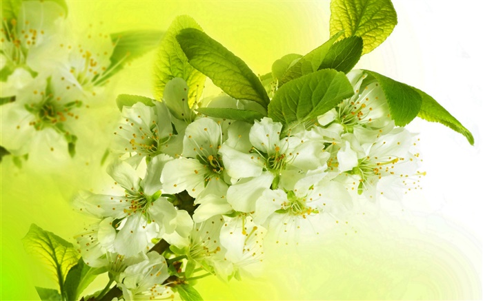 Blanc pomme fleurs, fleurs, brindilles, printemps Fonds d'écran, image