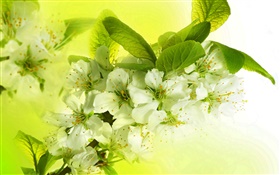 Blanc pomme fleurs, fleurs, brindilles, printemps HD Fonds d'écran