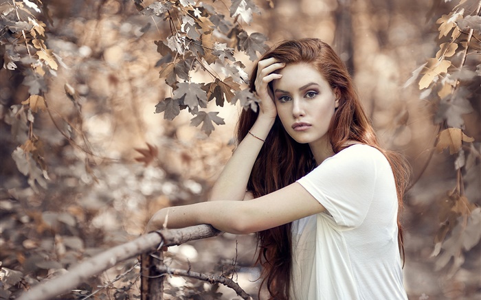 Brun, cheveux, girl, automne, arbres, barrière Fonds d'écran, image