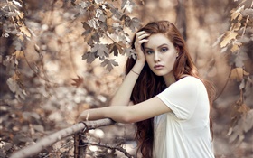 Brun, cheveux, girl, automne, arbres, barrière HD Fonds d'écran