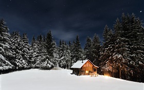 Hiver, neige, arbres, nuit, hutte