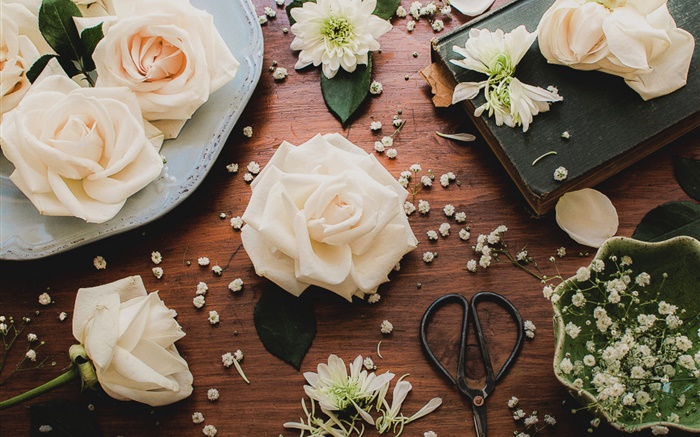 Rose, rose, fleurs, table, ciseaux Fonds d'écran, image