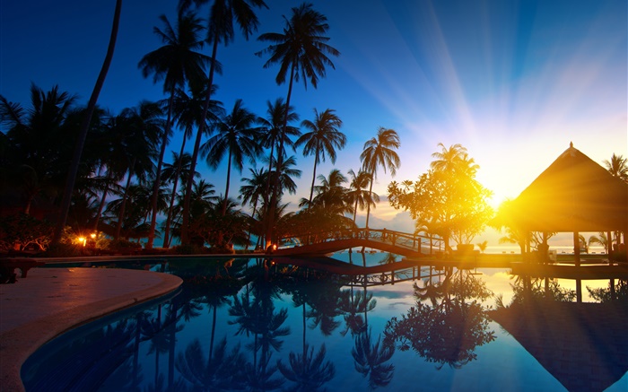 Palmiers, maison, lever du soleil, les rayons du soleil, l'eau de mer, la Thaïlande Fonds d'écran, image