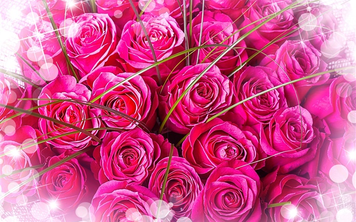 Roses roses, bouquet, éblouissement Fonds d'écran, image
