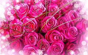 Roses roses, bouquet, éblouissement HD Fonds d'écran