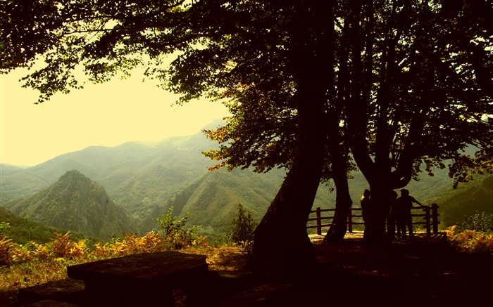 Arbres, montagne, crépuscule Fonds d'écran, image