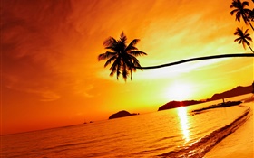 Tropical, plage, Coucher soleil, paume, arbre, Thaïlande HD Fonds d'écran