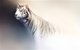 Aquarelle de tigre blanc HD Fonds d'écran