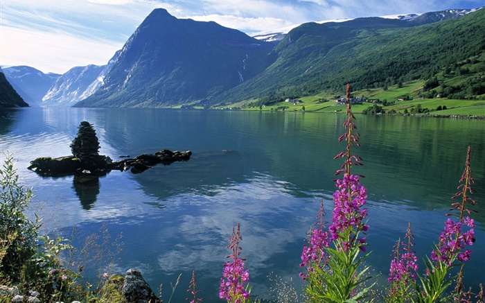 Lac, montagnes, fleurs, nuages Fonds d'écran, image
