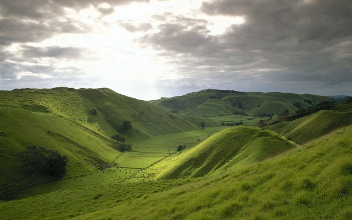 Montagnes, vert, herbe, champ, nuages, soleil Fonds d'écran, image