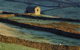 Maison en pierre, clôture, herbe, moutons HD Fonds d'écran