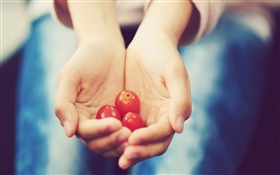 Petite tomate dans les mains
