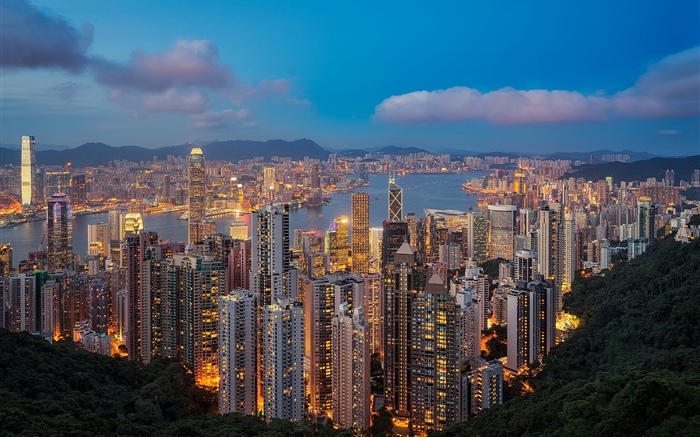 Hong Kong, nuit, gratte-ciel, lumières Fonds d'écran, image
