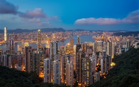 Hong Kong, nuit, gratte-ciel, lumières HD Fonds d'écran