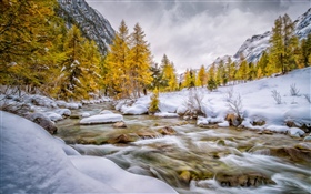 Hiver, neige, arbres, ruisseau HD Fonds d'écran