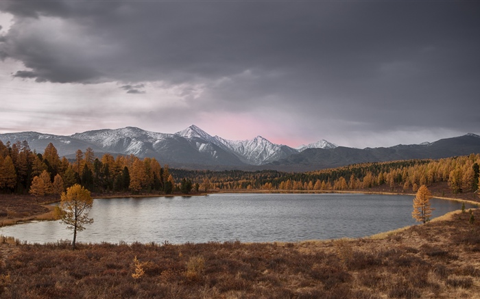 Altay, lac, arbres, montagnes, automne Fonds d'écran, image