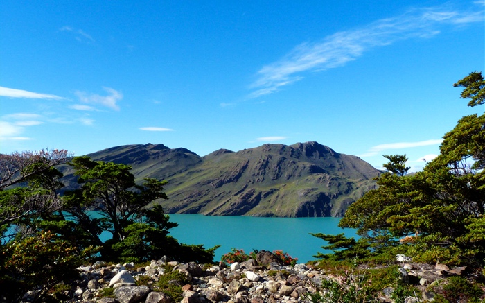 Argentine, Patagonie, lac, montagnes, arbres Fonds d'écran, image