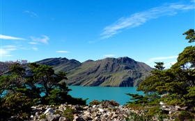 Argentine, Patagonie, lac, montagnes, arbres HD Fonds d'écran