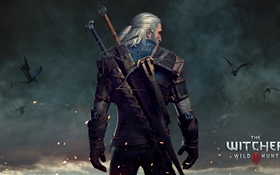 The Witcher 3: Chasse sauvage HD Fonds d'écran