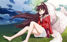 Anime Girl, Renard HD Fonds d'écran