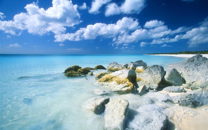 Bahamas, plage, mer, pierres Fonds d'écran, image