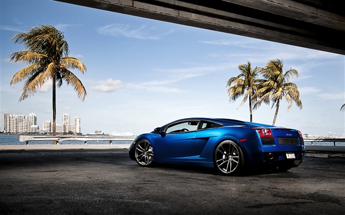 Supercar Lamborghini bleue, palmiers Fonds d'écran, image