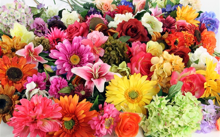 Fleurs différentes de sortes colorées Fonds d'écran, image