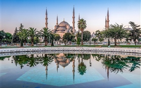 Istanbul, Turquie, mosquée, arbres, eau