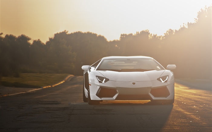Vue de face de supercar blanche de Lamborghini, lumière du soleil Fonds d'écran, image