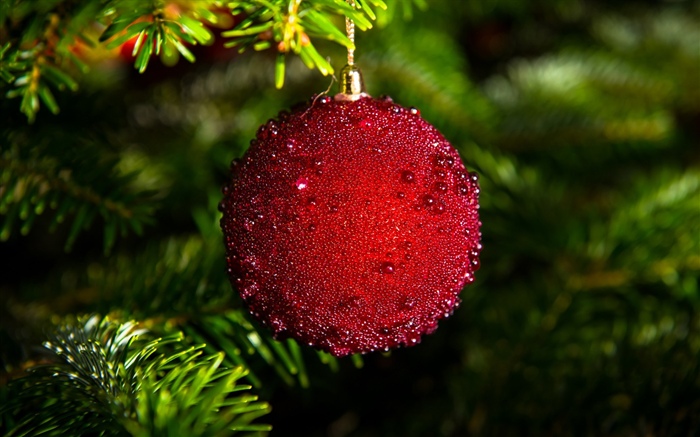 Boule rouge de Noël Fonds d'écran, image